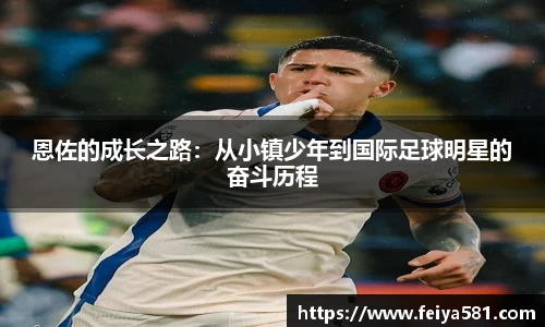 完美体育官网